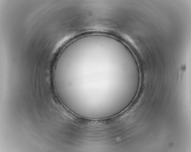 X0000093131307200710241315