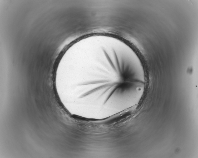 X0000093131308200710241315