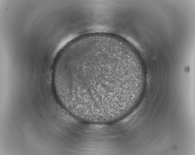 X0000093131309200710241315