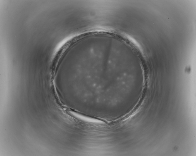 X0000093131310200710241315