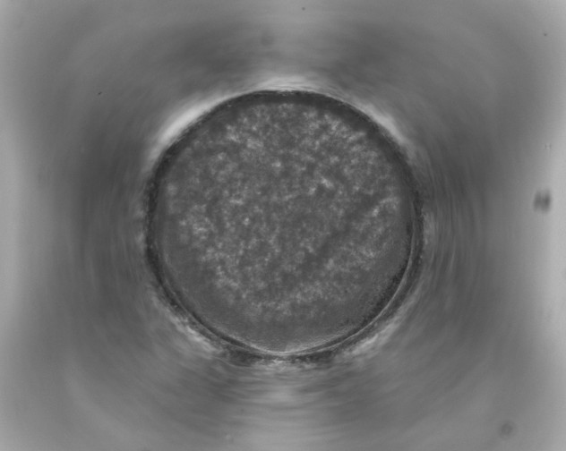 X0000093131311200710241315