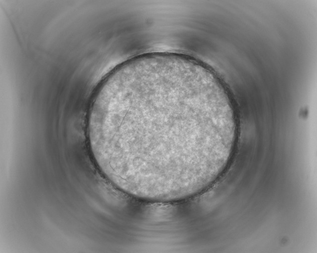 X0000093131314200710241315