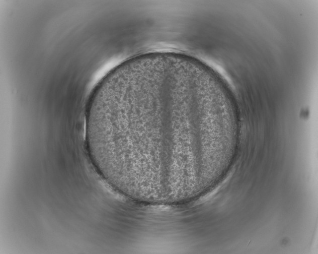 X0000093131317200710241315