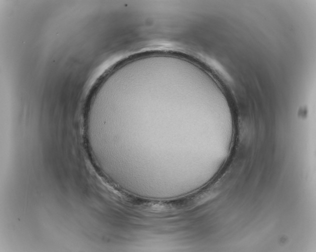 X0000093131318200710241315
