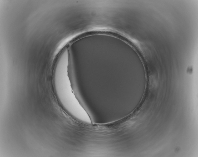 X0000093131319200710241315