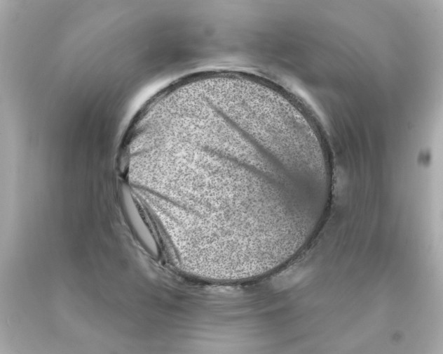 X0000093131320200710241315