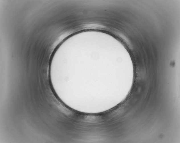 X0000093131322200710241315