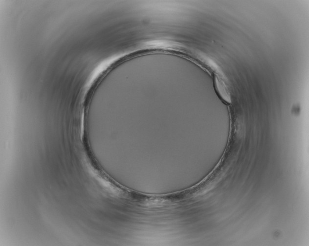 X0000093131323200710241315