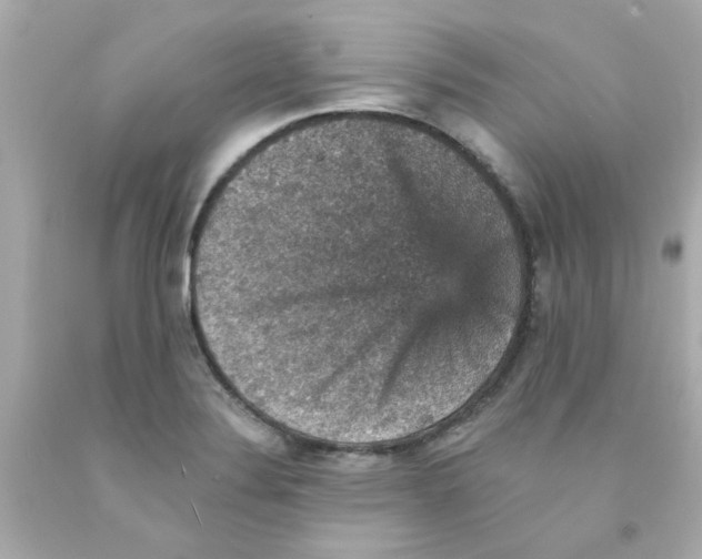 X0000093131324200710241315