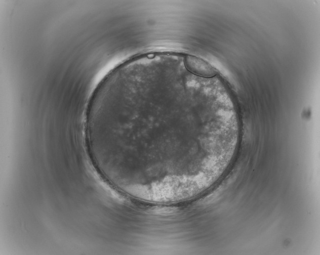 X0000093131325200710241315