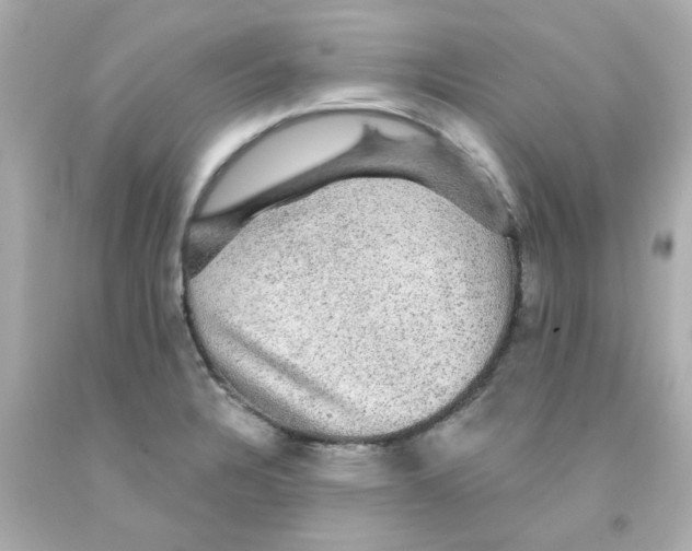 X0000093131328200710241315