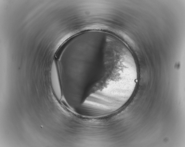 X0000093131329200710241315