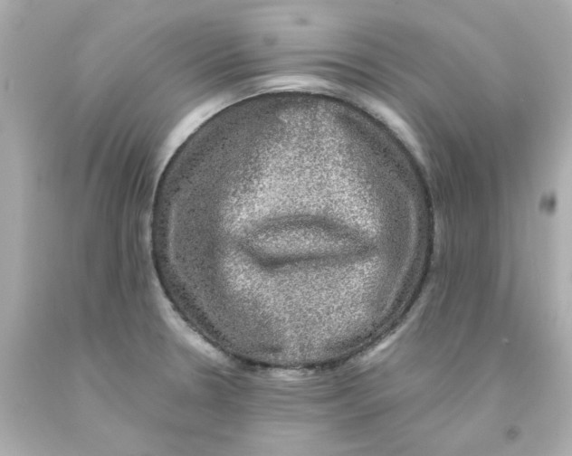 X0000093131330200710241315