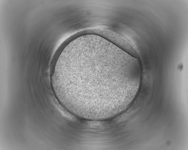 X0000093131332200710241315