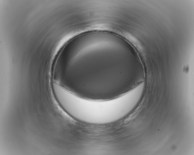 X0000093131334200710241315