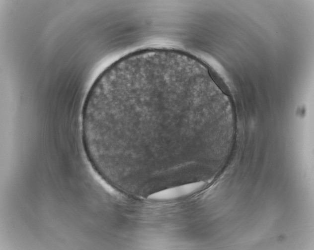 X0000093131335200710241315