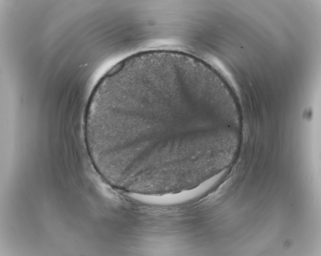 X0000093131336200710241315