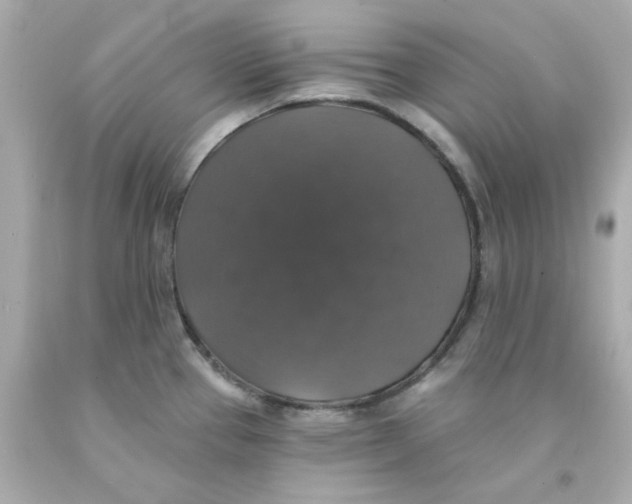 X0000093131337200710241315