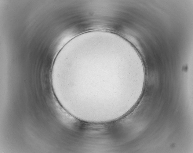 X0000093131338200710241315