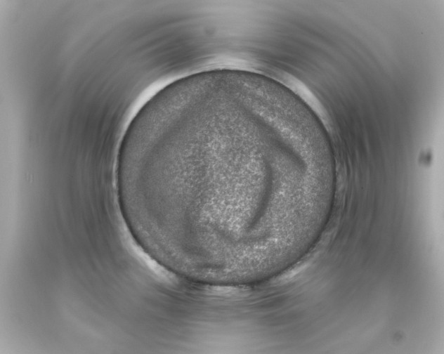 X0000093131339200710241315