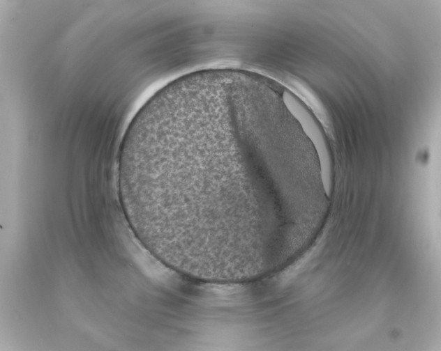 X0000093131340200710241315
