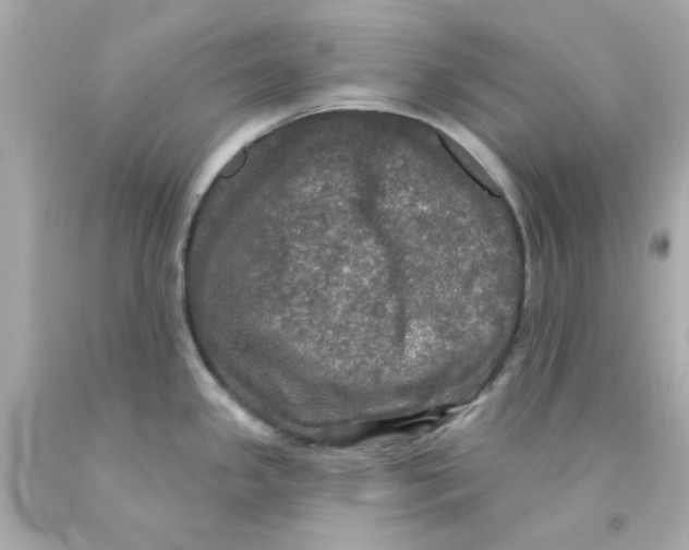 X0000093131341200710241315