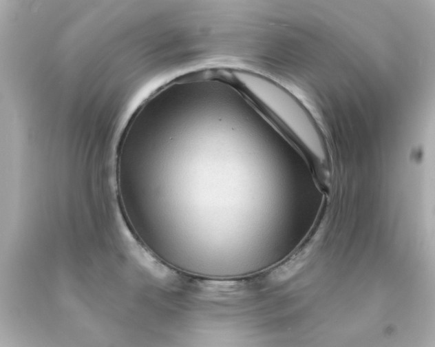 X0000093131342200710241315