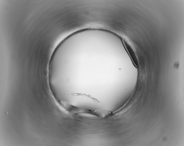 X0000093131343200710241315