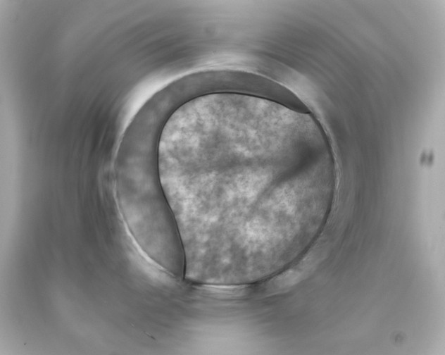 X0000093131344200710241315