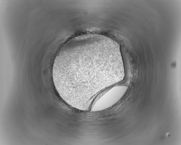 X0000093131345200710241315