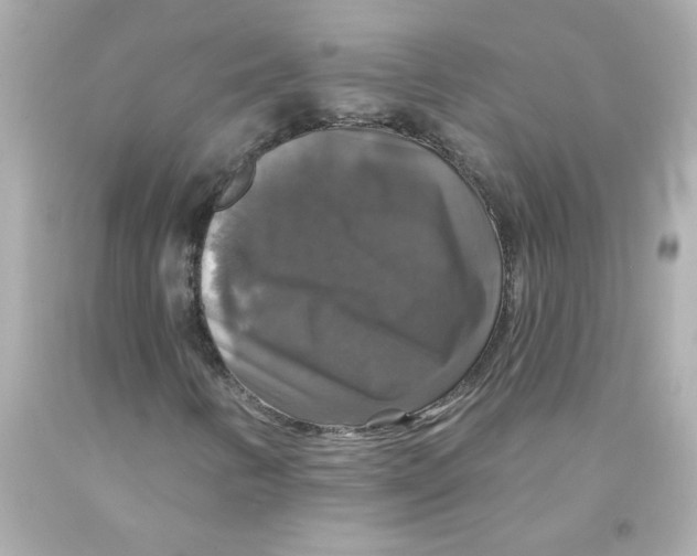 X0000093131346200710241315