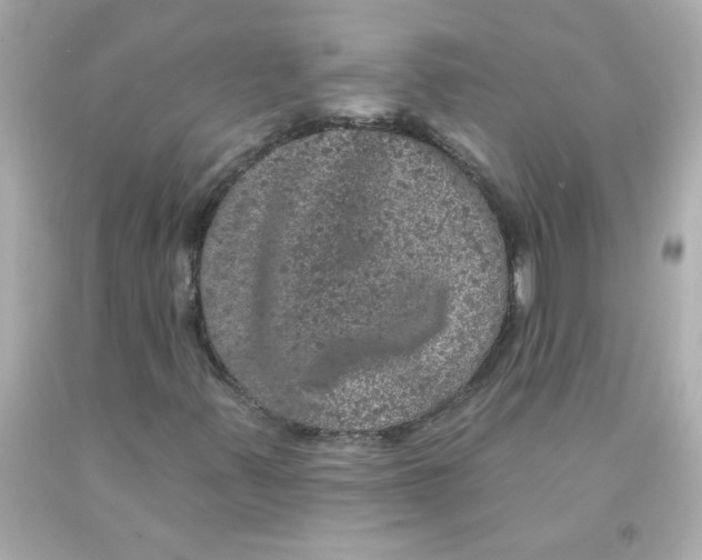 X0000093131347200710241315
