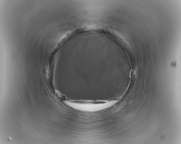 X0000093131348200710241315