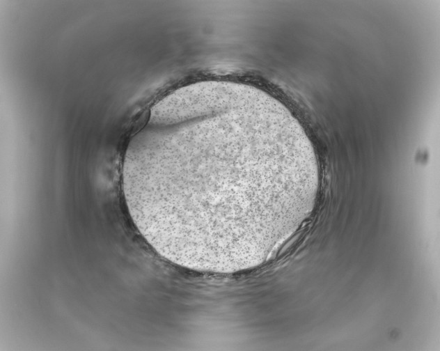 X0000093131349200710241315
