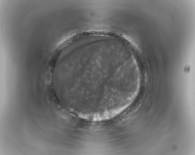 X0000093131350200710241315