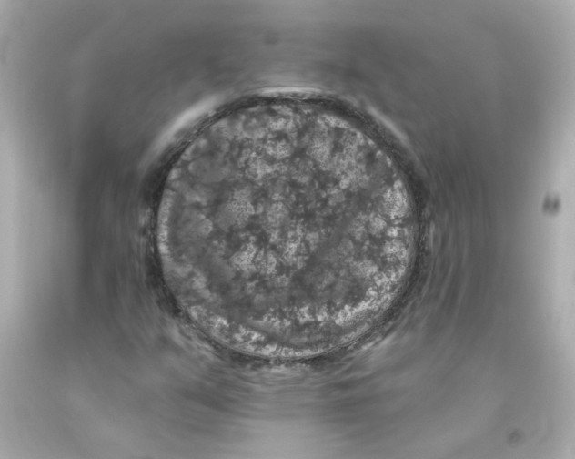 X0000093131351200710241315