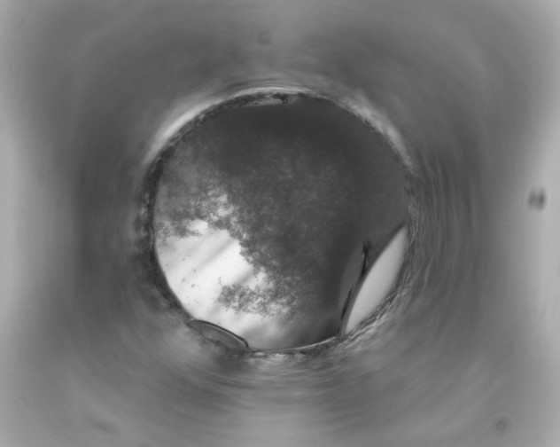 X0000093131352200710241314