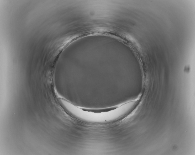 X0000093131353200710241314