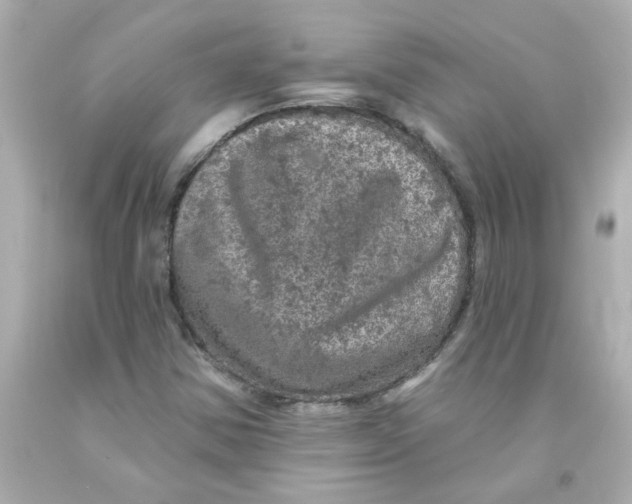 X0000093131354200710241314