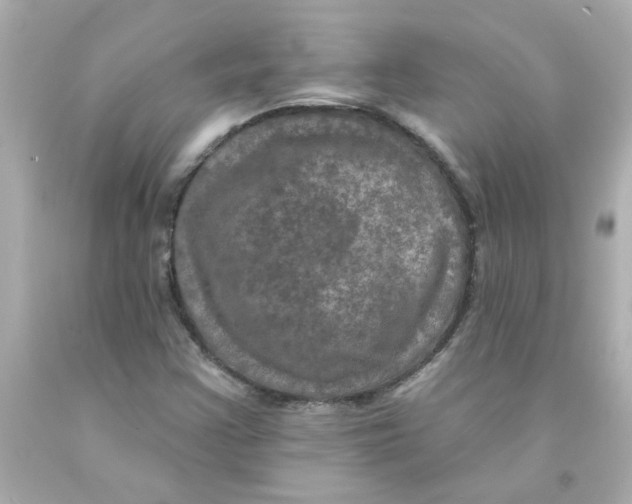 X0000093131355200710241314