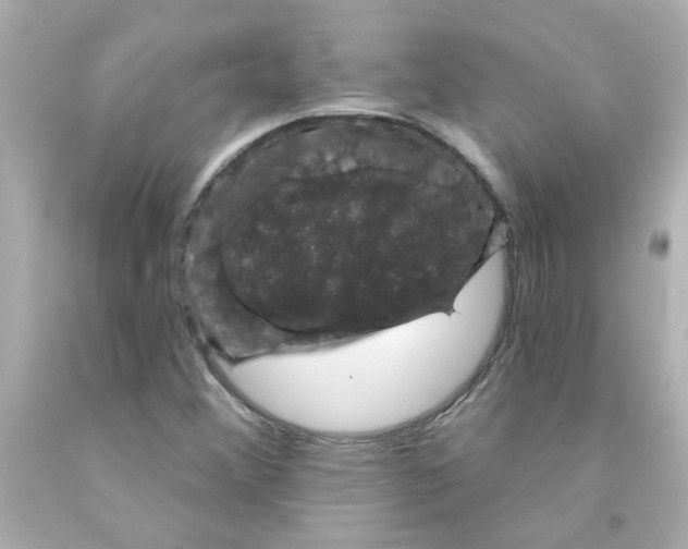 X0000093131356200710241314