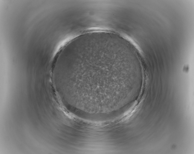 X0000093131357200710241314