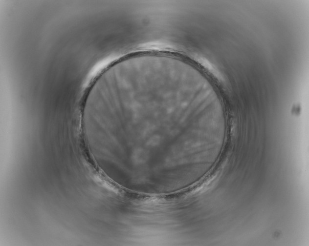 X0000093131358200710241314