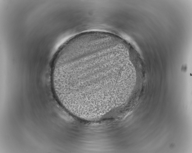 X0000093131360200710241314