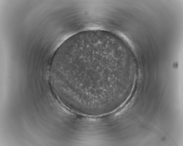 X0000093131361200710241314