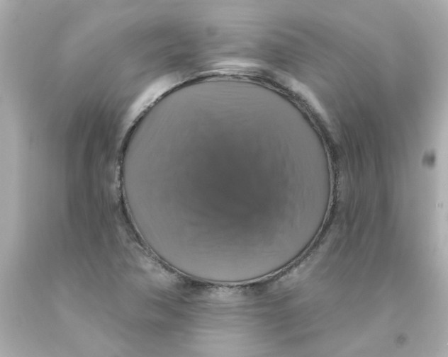 X0000093131362200710241314
