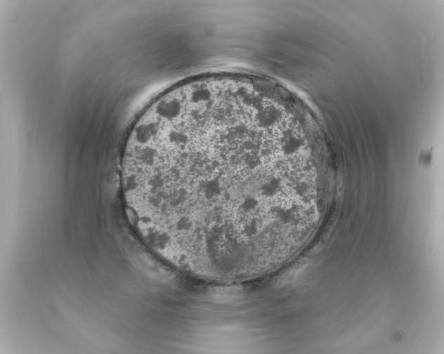 X0000093131363200710241314