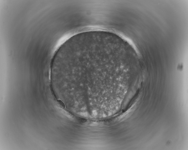 X0000093131365200710241314