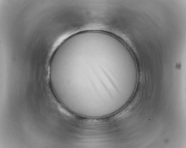 X0000093131366200710241314