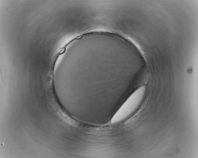 X0000093131367200710241314